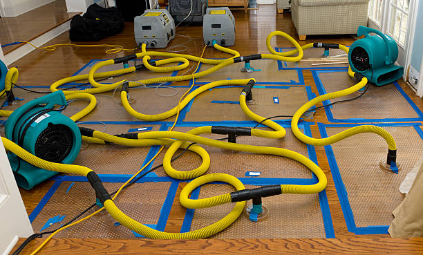 Professional Burst Pipe Water Damage technician working in Cape Canaveral, FL